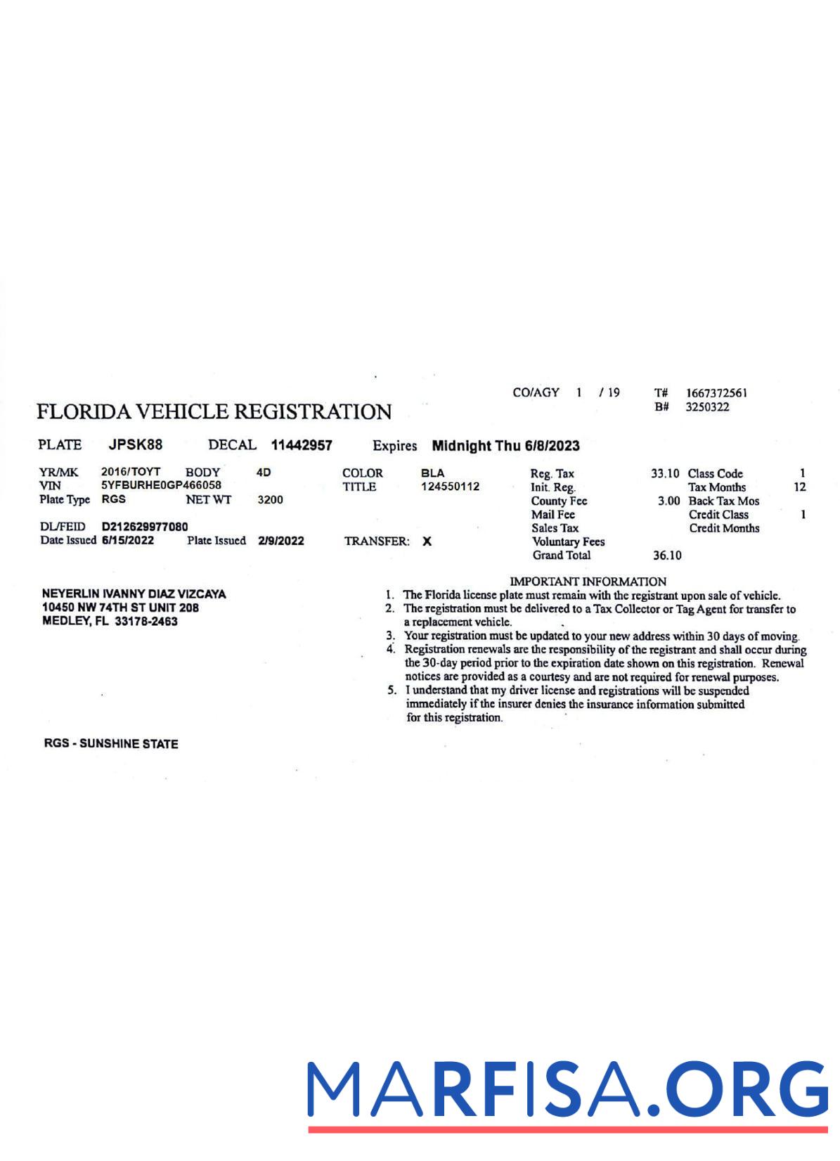 Blank USA Florida vehicle registration license download for verification
